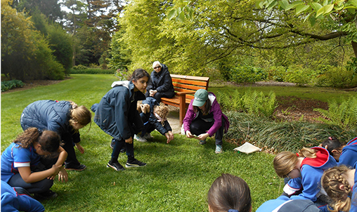 P4_visit_Botanic_gardens