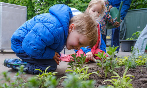Plants growing nursery garden learning